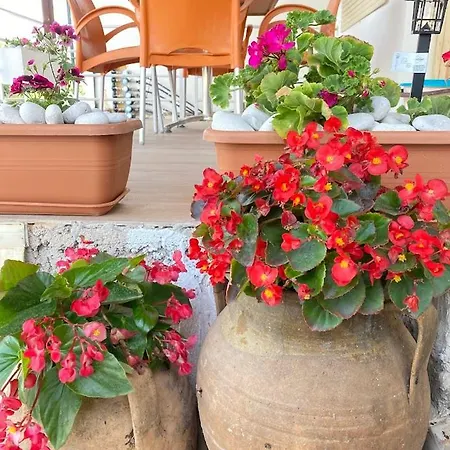 Geranium Apartments Ksamil Eksteriør bilde