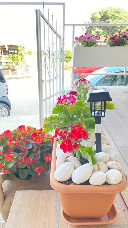 Geranium Apartment *