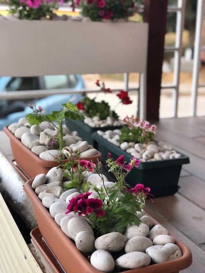 Geranium Apartment